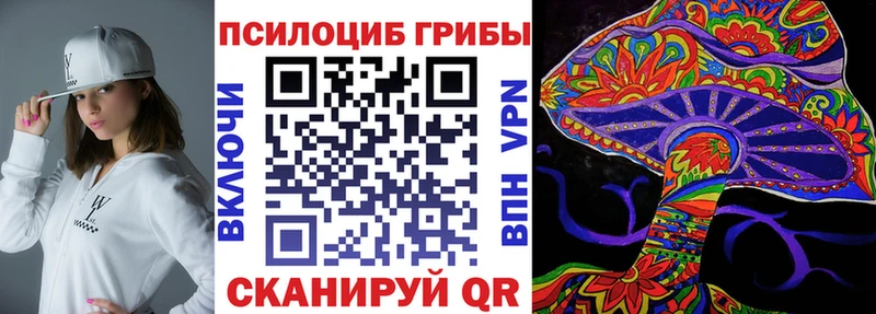 Псилоцибиновые грибы прущие грибы  что такое наркотик  Видное 